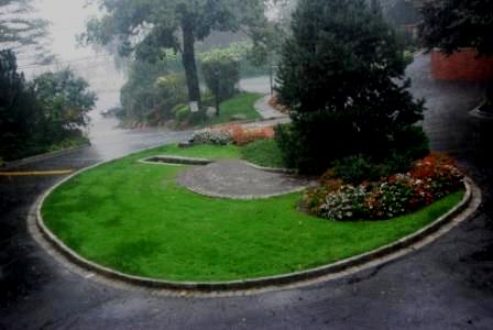 Flooded pond in heavy rain